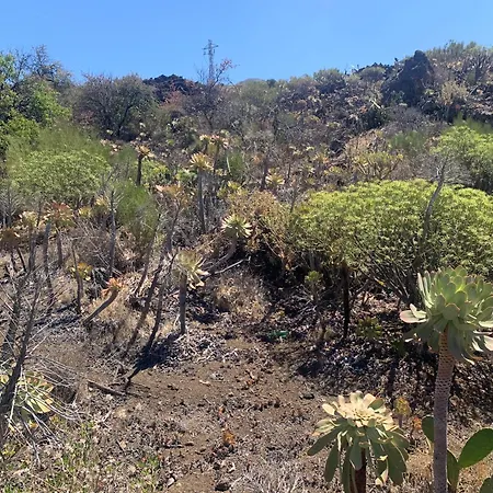 Casa Susanna Costa del Silencio