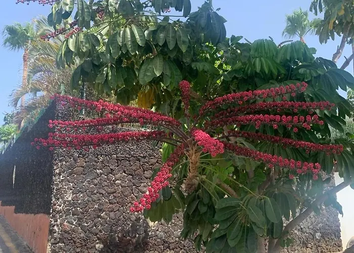 Casa Susanna 아파트 코스타델실렌시오