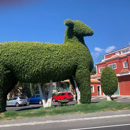 Casa Susanna Daire *