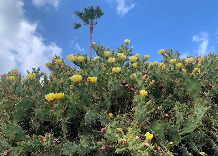 Apartment Casa Susanna *