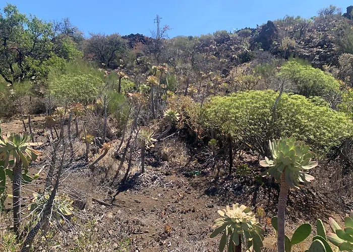 Casa Susanna Costa Del Silencio