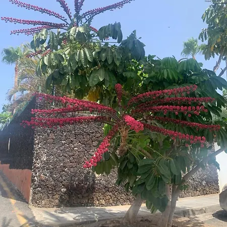 Casa Susanna Appartamento Costa Del Silencio