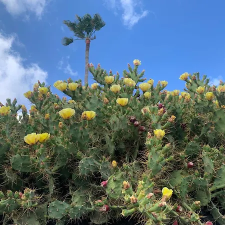 Appartamento Casa Susanna *